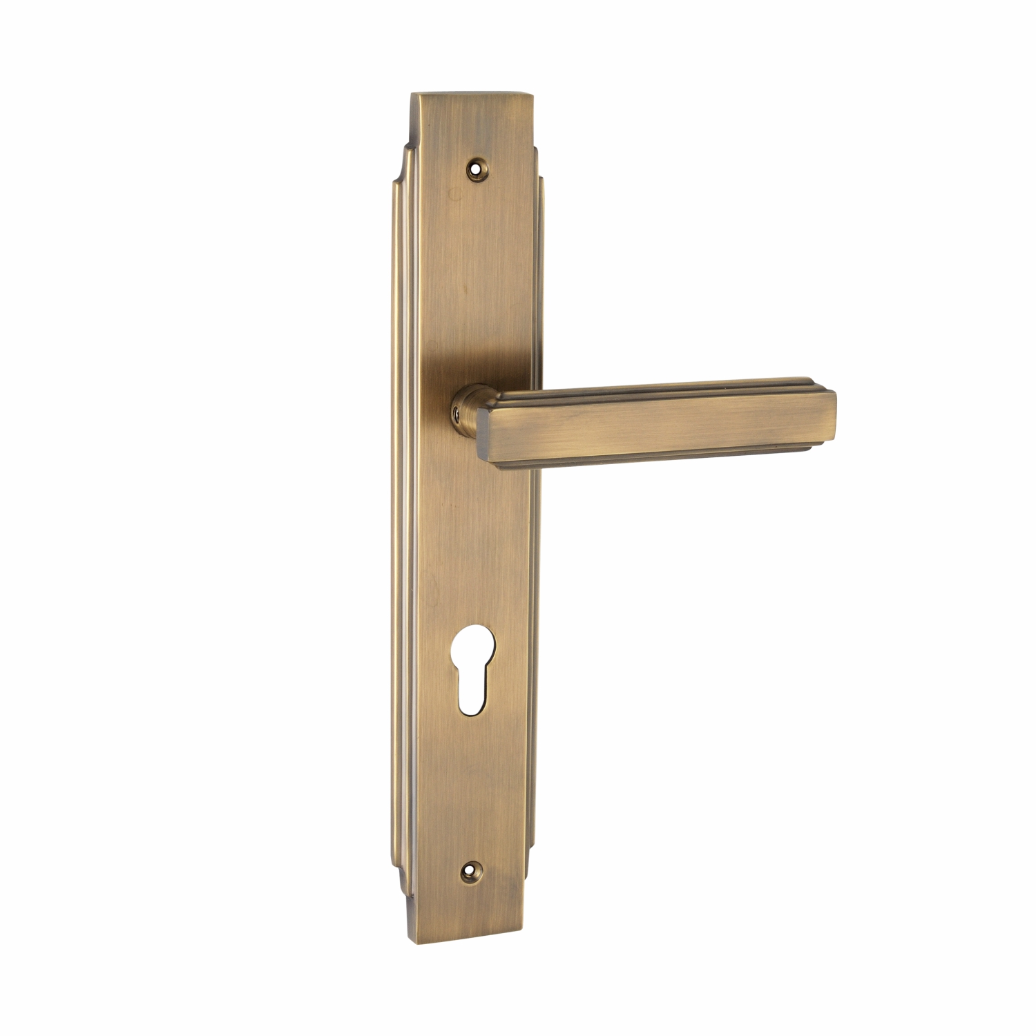 Ascend Brass Lever Handle on Backplate