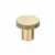 Satin Champagne Gold