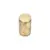 Satin Champagne Gold