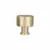 Satin Champagne Gold