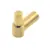 Satin Champagne Gold PVD