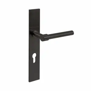 Flip Lever Handle with Backplate